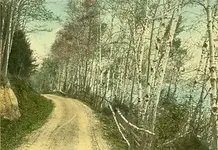 Wallaca Nutting Hand Painted Photograph.webp