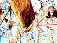 10. Looking northLGr2cropsml.webp