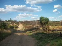 100_1215.webp