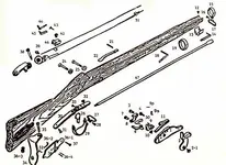 Winchester Zouave.webp