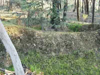 100_0160.webp