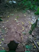 head stone.webp