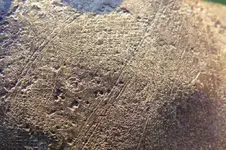 ENGRAVED  CLIPPED CORNER BELT PLATE 042.webp