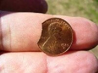 clipped penny.jpg