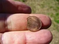 clipped penny back.webp