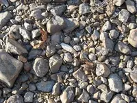 001.webp