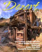 DZMcvr212.webp