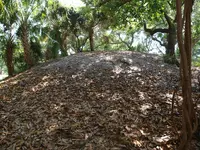 shell mounds.webp