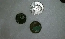 cut old coins.webp