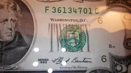 IMGP0488_002.webp