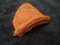 2011-12-01 07.18.29RED.webp