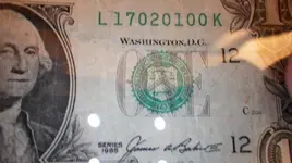 IMGP0481.webp