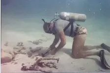 BAHAMAS1.webp