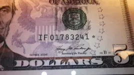 IMGP0486.webp