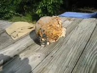 CANNON BALL.webp