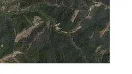 map4.webp