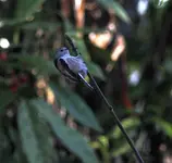 002.webp