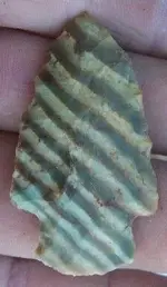 greenstripe5.webp