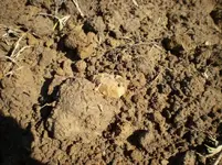 12-27-11 (6).webp