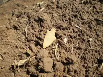 12-27-11 (4).webp