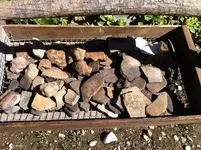 405763_1762637243459_1764952288_936880_64538119_n.webp