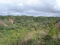 WAHIAWA MTNS_001.webp