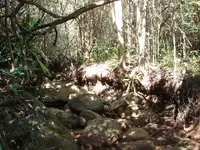 WAHIAWA MTNS_002.webp