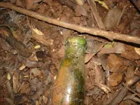 WAHIAWA MTNS_003.webp
