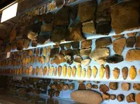 Museum1.webp