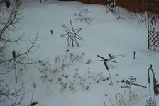 backyard4.webp