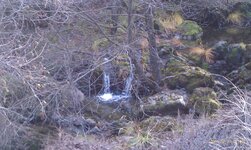 Highland Springs Bedrock (4).jpg