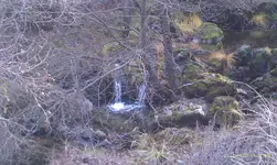 Highland Springs Bedrock (4).webp