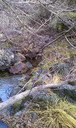 Highland Springs Bedrock (1).webp