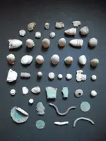 Field finds 1.webp