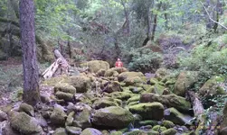 Middle Creek Boulders.webp