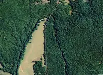map.webp
