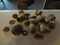 Relic Hunt(3) 2-12-12.webp