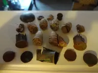 Relic Hunt(6) 2-12-12.webp