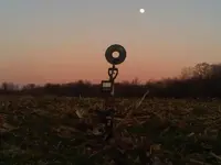 Moon Rising.webp Moon Rising.webp