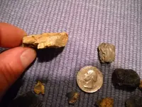 DSCN1233.webp