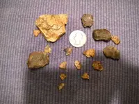 DSCN1229.webp
