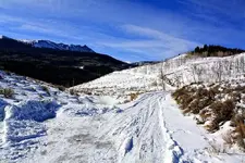 1-31h.webp