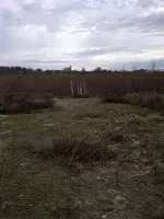 drained lake.webp
