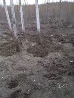 drained lake2.webp