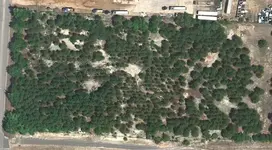 cob area - bc.webp