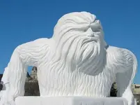 image018.webp