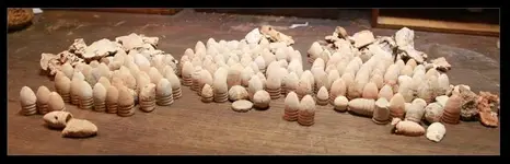 Bullets.webp