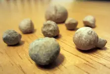 jan272012-pistol-balls.webp