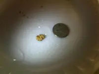 05022010383.webp