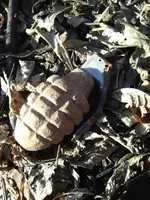 grenade.webp